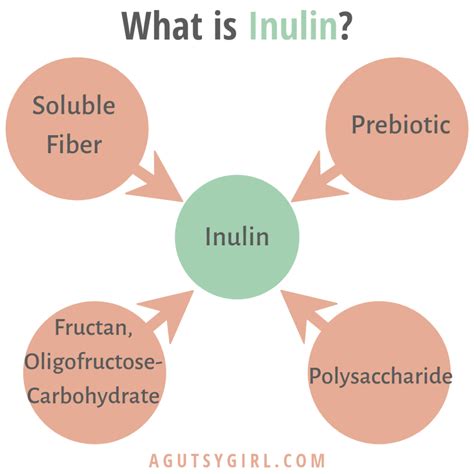 What Is Inulin A Gutsy Girl