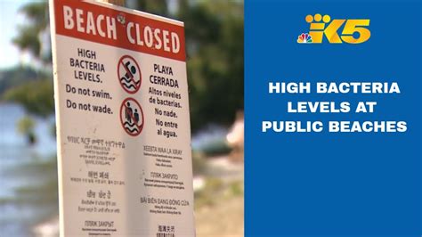 high bacteria levels at washington beaches after heatwave youtube