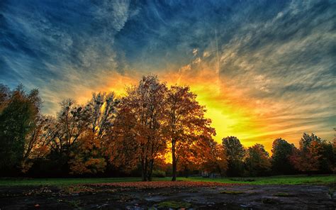 Download Sky Tree Fall Nature Sunset Hd Wallpaper