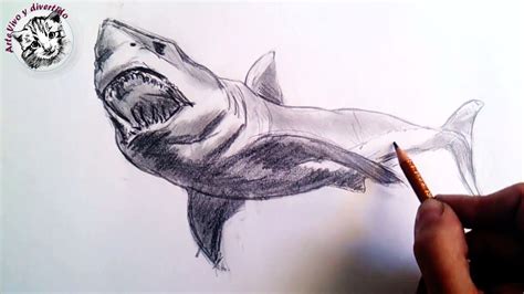 Como Dibujar Un Tiburon A Lapiz Paso A Paso Tecnicas Lápiz De Grafito