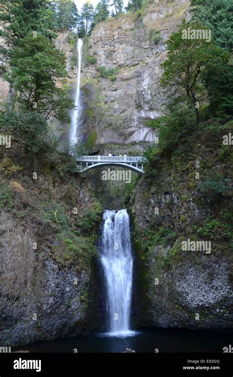Multnomah Falls Columbia River Gorge Oregon Stock Photo Alamy