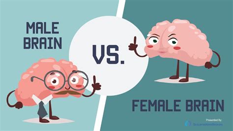 Male Female Brain Differences General Knowledge Gambaran