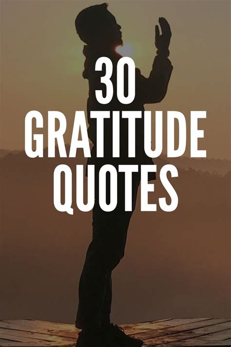 30 Gratitude Quotes That Will Brighten Your Day Powerful