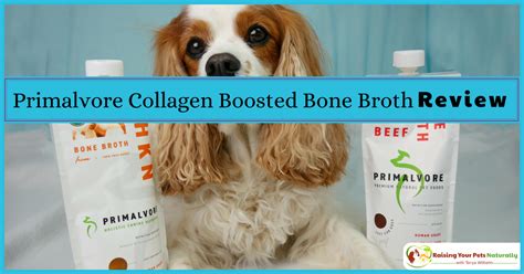 It is naturally rich in vitamins and minerals, and for the following reasons, should be regularly incorporated into your pet's diet! Health Benefits of Bone Broth for Dogs | Primalvore ...