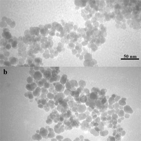 Tem Micrographs Of The Naked A And Aptes Coated B Magnetite