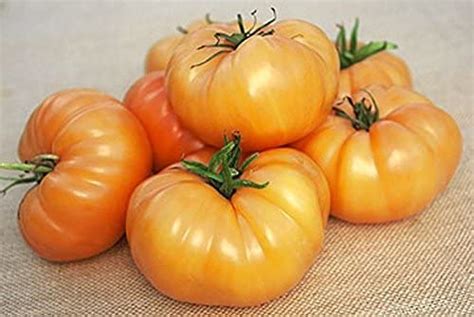 Tomato Kentucky Beefsteak St Clare Heirloom Seeds Heirloom And