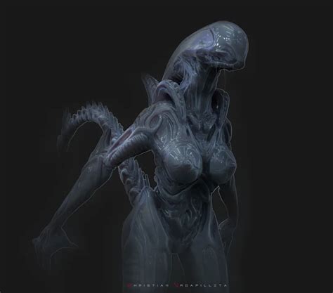 Neoxenomorph Hybrid Alien Covenant Forum