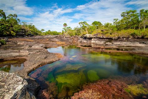 Caño Cristales 3 Day Tour With Flight Tickets Gran Colombia Tours