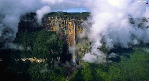 Forest Waterfall Clouds Rocks Angel Falls Venezuela Cool Places