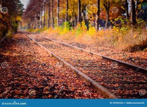 Railroad In Autumn Stock Photo Image Of Maple Flowing 29902536