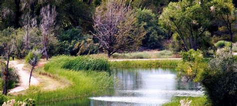 Verde River Greenway State Natural Area Arizona