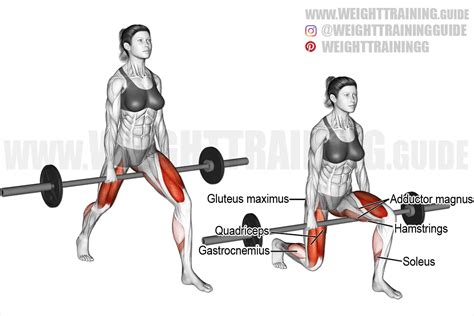 barbell between legs split squat exercise instructions and video