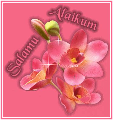 The perfect jummamubarak happycelebration moreblessing animated gif for your conversation. Dua Jumma Mubarak Images Gif