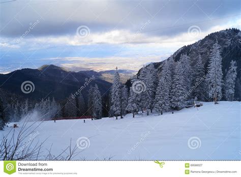 Winter Landscape In Romania Stock Image Image Of View Relaxation