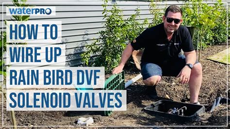 How To Wire Up Rain Bird Dvf Solenoid Valves Youtube