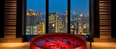 Best Hotels In Osaka Japan Budget To Luxury Options