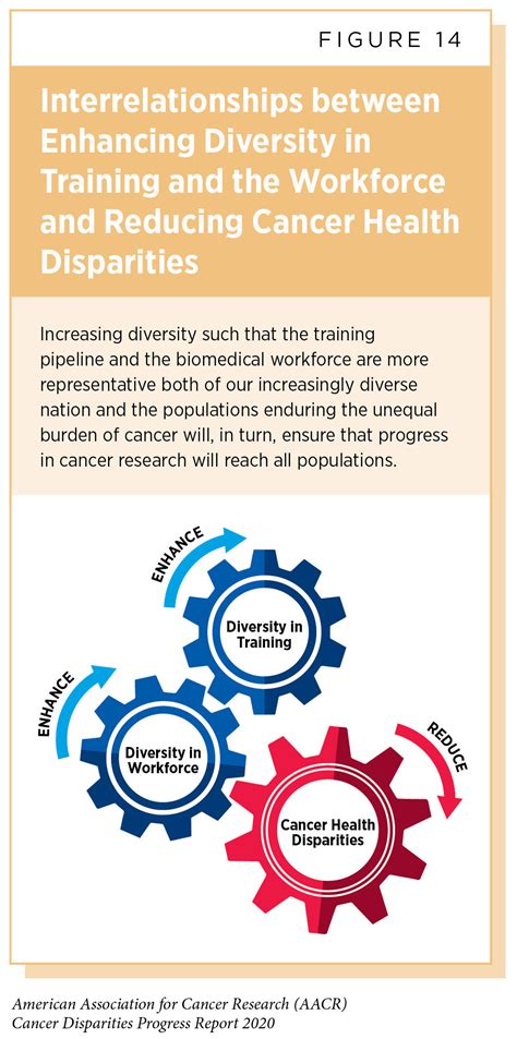 Diversity In Cancer Workforce Aacr Cancer Disparities Progress Report