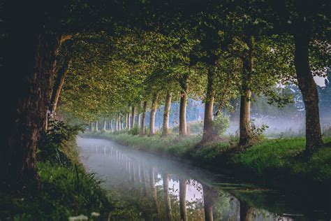 Wallpaper Sunlight Trees Forest Lake Nature Reflection Morning