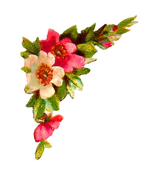 Antique Images Digital Flower Corner Design Roses Clip