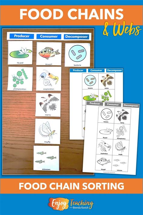 Teaching Food Chains And Webs Ecosystems For Kids Decomposers