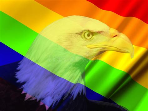 Gay Lesbian Rainbow Flag Eagle Stock Image Image Of Rights Bald