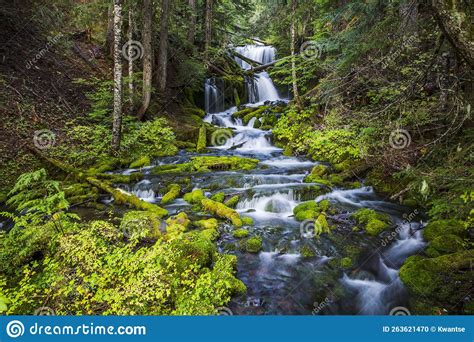 Beauty Big Spring Creek Waterfalls In Autumn Stock Photo Image Of