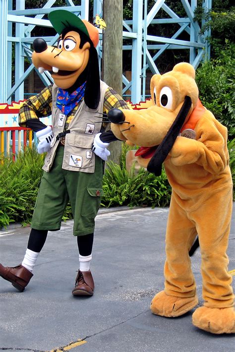 Goofy And Pluto In Animal Kingdom A Photo On Flickriver
