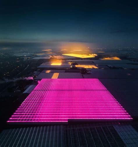 Giant Led Greenhouses Of Netherlands And The Light Pollution Awareness