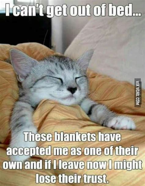 The One Reason To Stay In Bed All Day Who Agrees 9gag