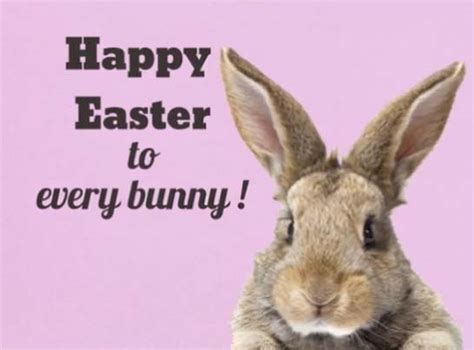 Happy Easter To Every Bunny Free Fun Ecards Greeting Cards 123