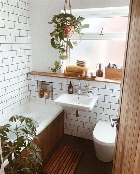 Las Mejores Plantas Para El Baño