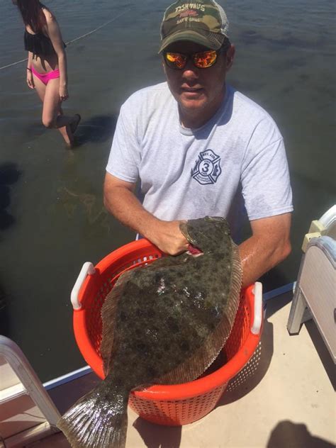 Sea Bass Trout Big Flounder And Sharks In The Surf Ocean City Md