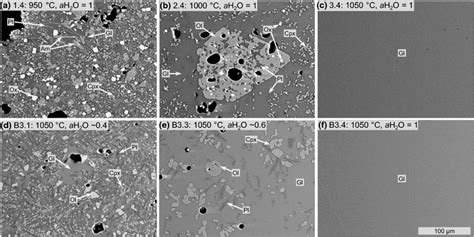 Backscattered electron detector — addition and subtraction is allowed. Comparison of back scattered electron (BSE) images of run ...