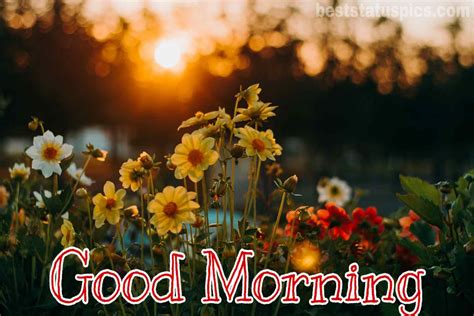 Collection Of Over Stunning Good Morning Scenery Images In Full K