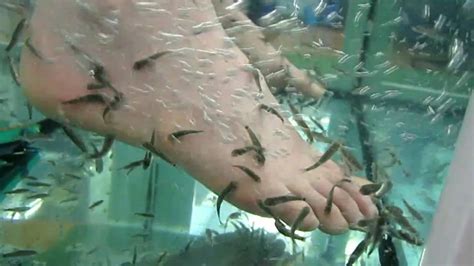 Amanda Fish Feet Garra Rufa Fish Spa Youtube