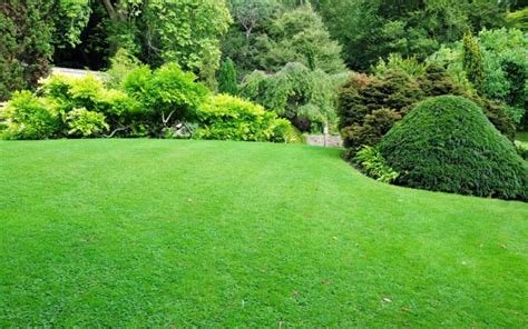 Lawn Care For Beginners How To Grow A Green Yard