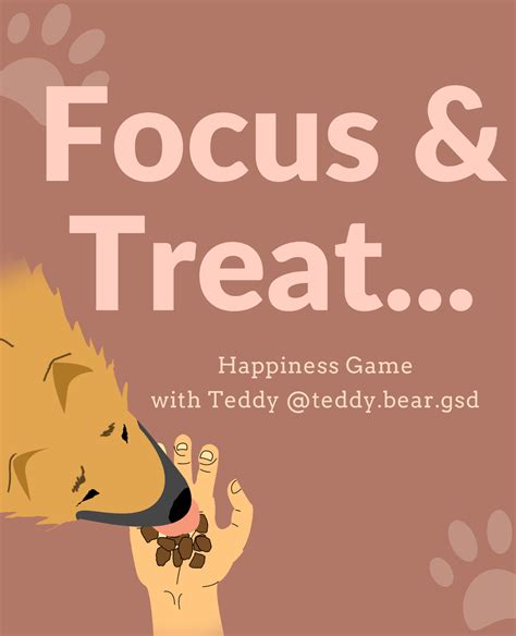 Focus And Treat Games For Dogs Bounce And Bella