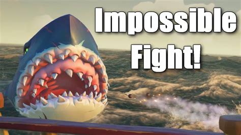 Cooked megalodon meat sells for 150 at the hunter's call. Sea of Thieves - The Hardest Megalodon Fight! - YouTube