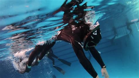 수원 프리다이빙 freediving 교육 padi basic freediver course YouTube