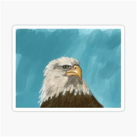 Bald Eagle Sticker For Sale By Possumfat Redbubble
