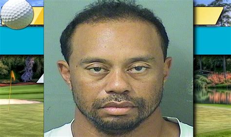 Tiger Woods Mug Shot Photo Released Tiger Mugshot Arrest 2017