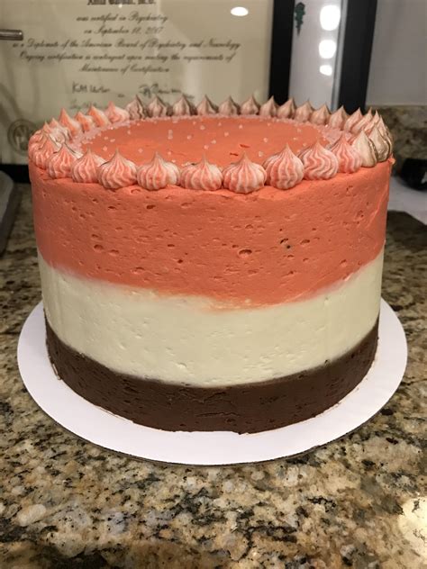 My Attempt At The Neapolitan Cake Rbaking