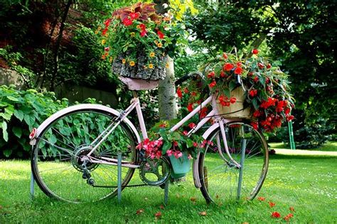 Bicycle Plants Going Green Bloom Where Youre Planted Bicycle