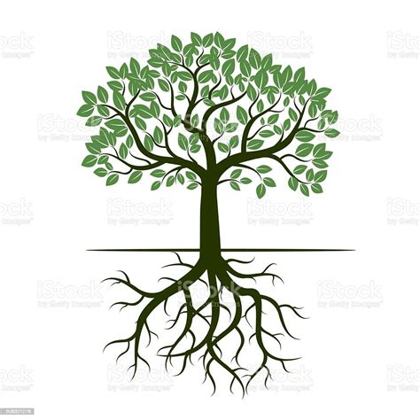 Green Tree And Roots Vector Illustration Stock Vector Art 508321278