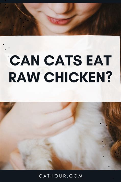 Can Cats Eat Raw Meats Raw Chicken For Cats Eating Raw Chicken Raw
