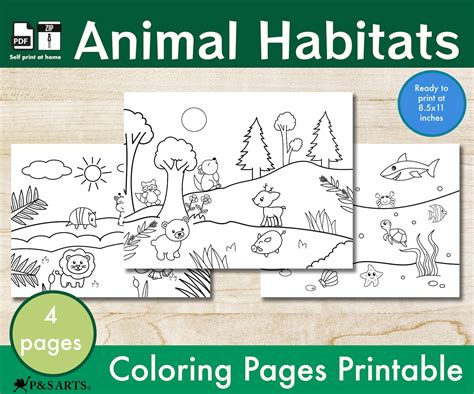 Animal Habitats Coloring Pages Printable For Toddlers And Kids