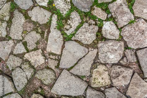 Cobblestone With Grass Texture Stone Path With Grass Texture