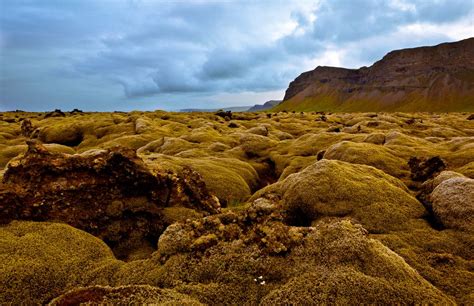 Lava Field Iceland Natural Landmarks Biomes Globetrotting