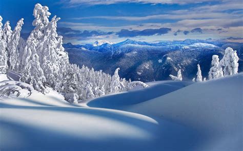 Beautiful Snow Wallpapers Top Free Beautiful Snow