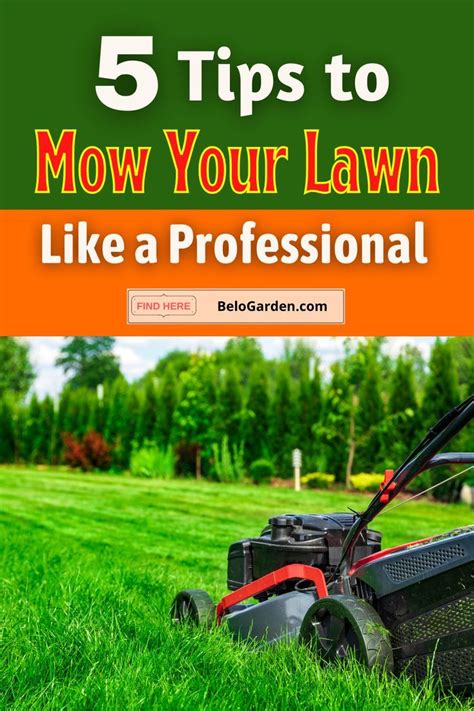 5 Tips To Mow Your Lawn Like A Professional Mowing Lawn Care Lawn